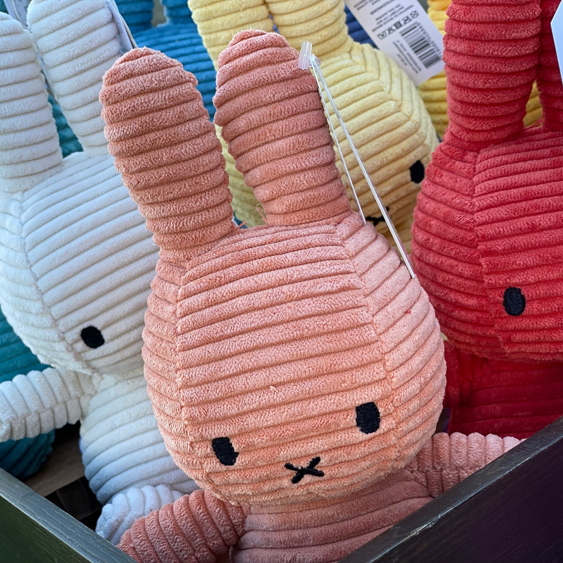 Miffy corduroy group photo