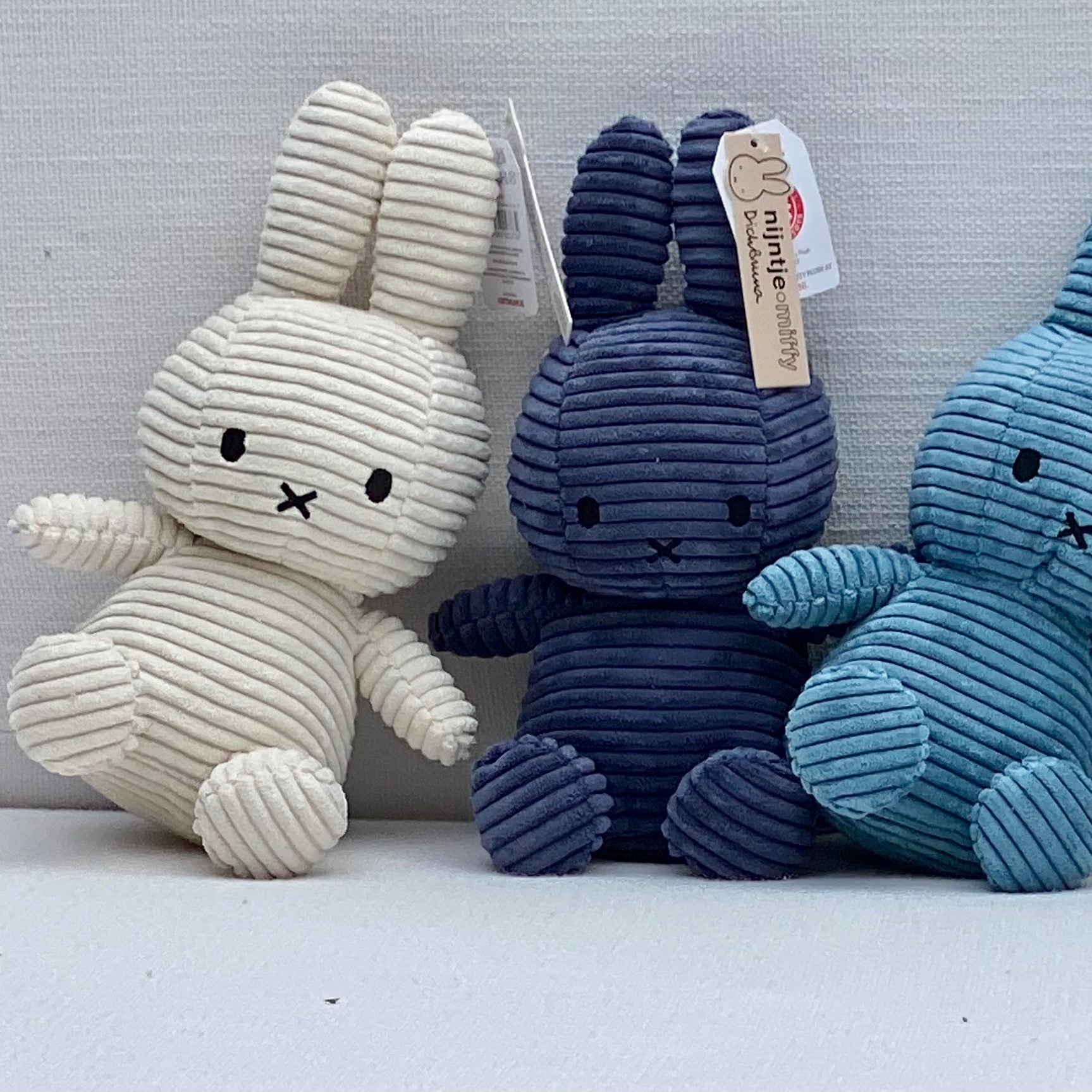 miffy corduroy group