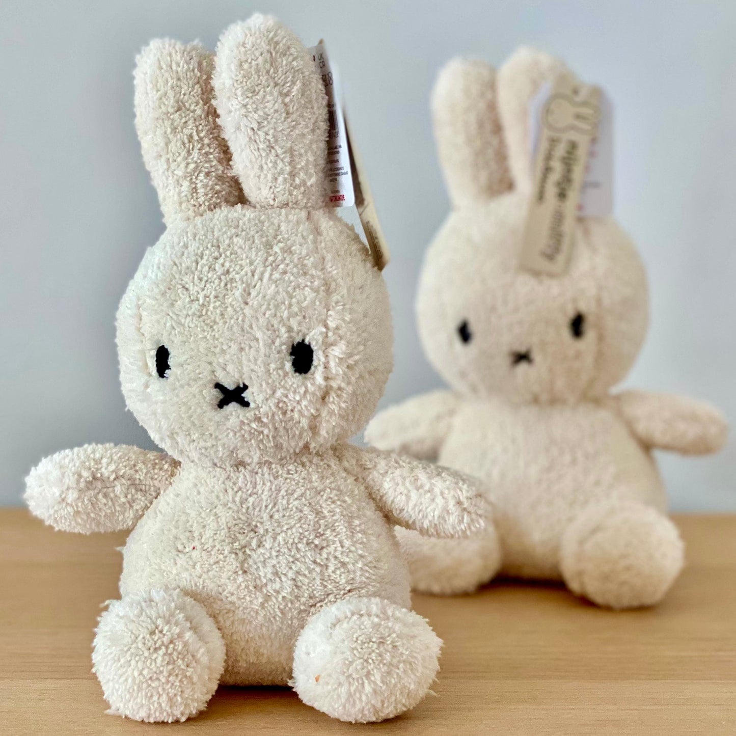 Cream Terry  Miffy Group photo