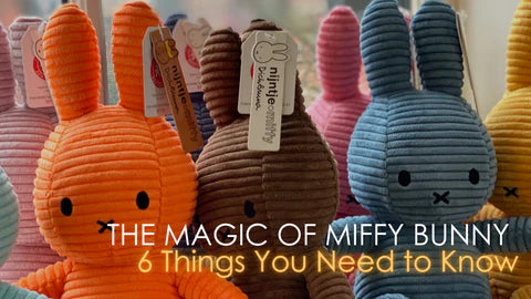 The magic of miffy the bunny